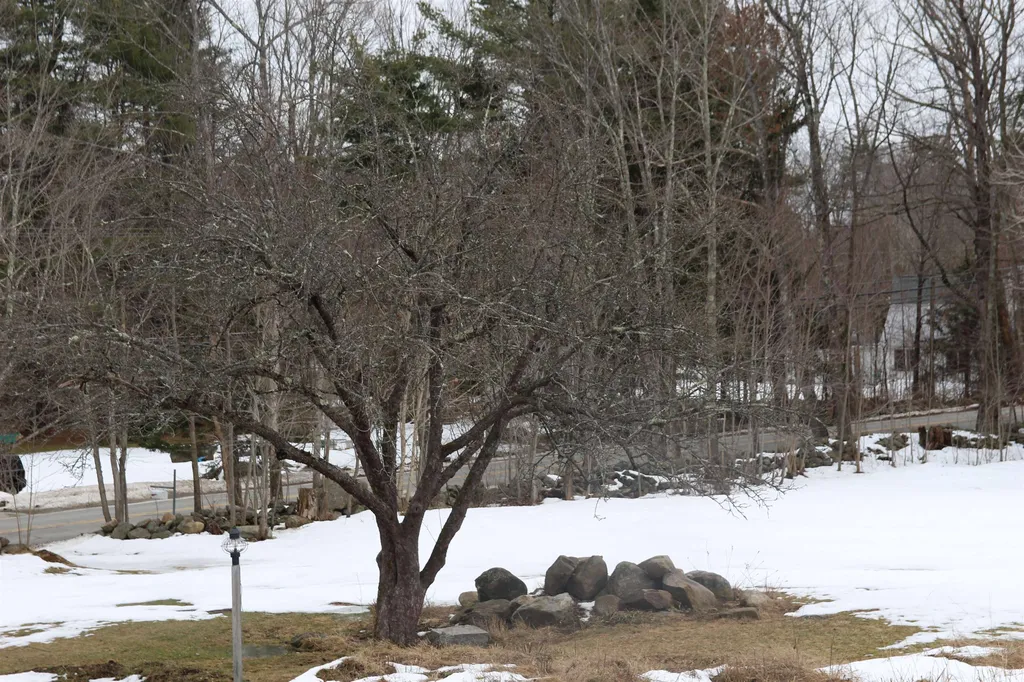58 Greenfield Road Francestown NH 03043