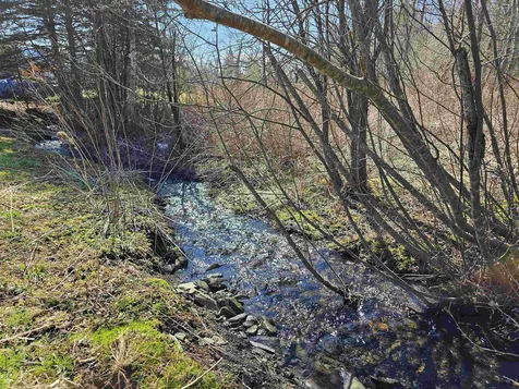 3959 Vt Route 102 Canaan VT 05903