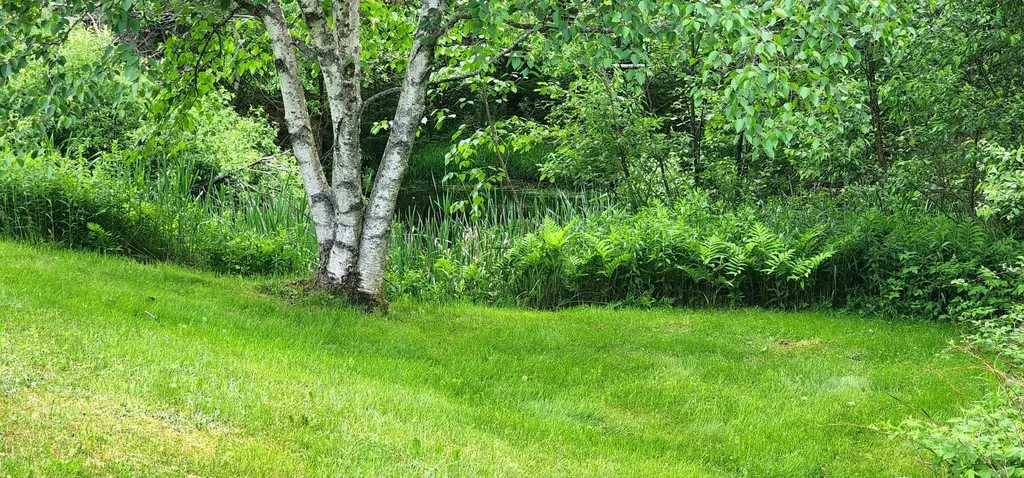 260 Old Cherry Mountain Road Jefferson NH 03583