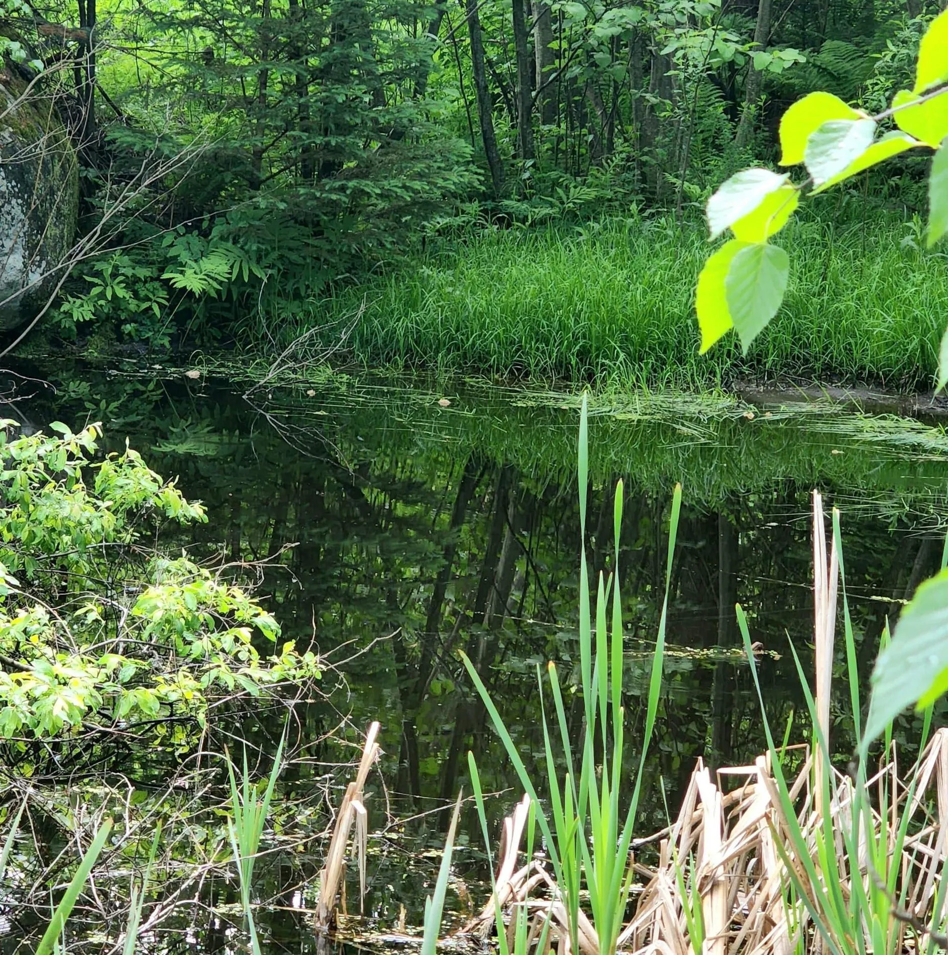 260 Old Cherry Mountain Road Jefferson NH 03583