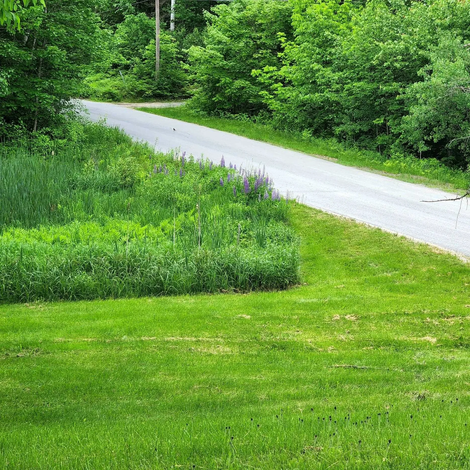260 Old Cherry Mountain Road Jefferson NH 03583