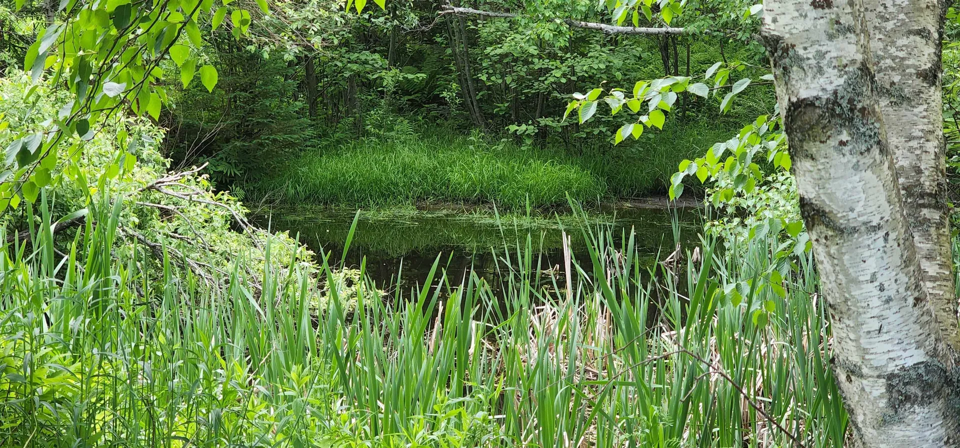 260 Old Cherry Mountain Road Jefferson NH 03583