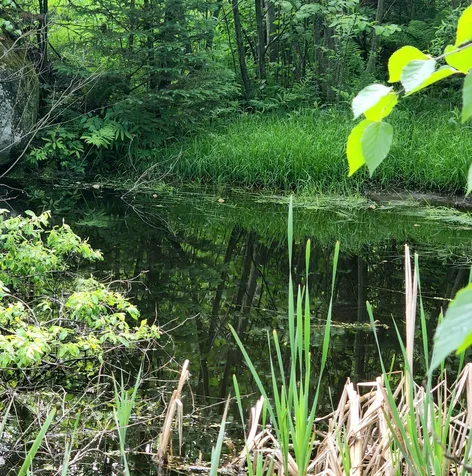 260 Old Cherry Mountain Road Jefferson NH 03583