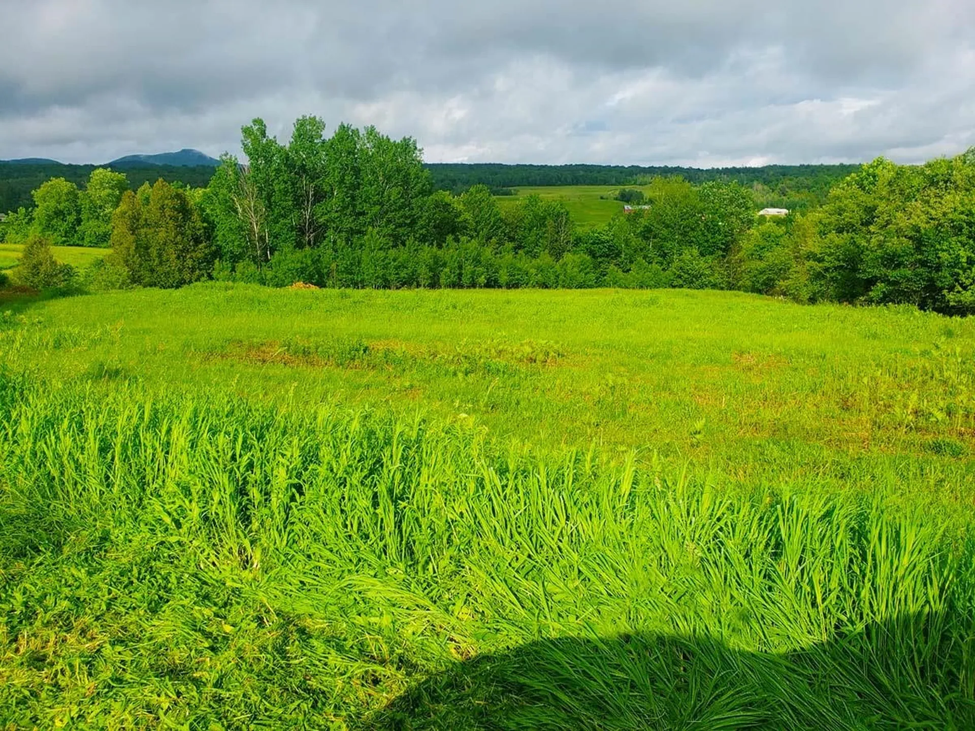 Lot 3 Scott Road Franklin VT 05457