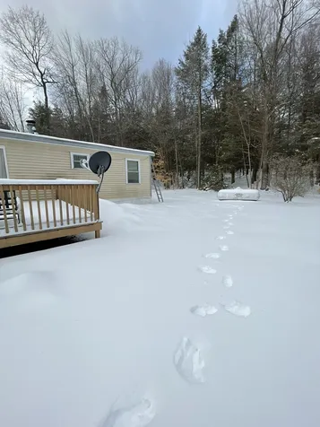 77 Vaillancourt Drive New Ipswich NH 03071