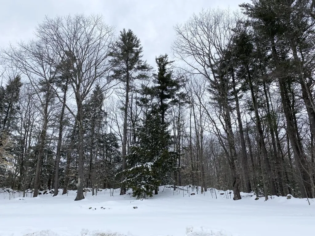 199 Richmond Road Troy NH 03465