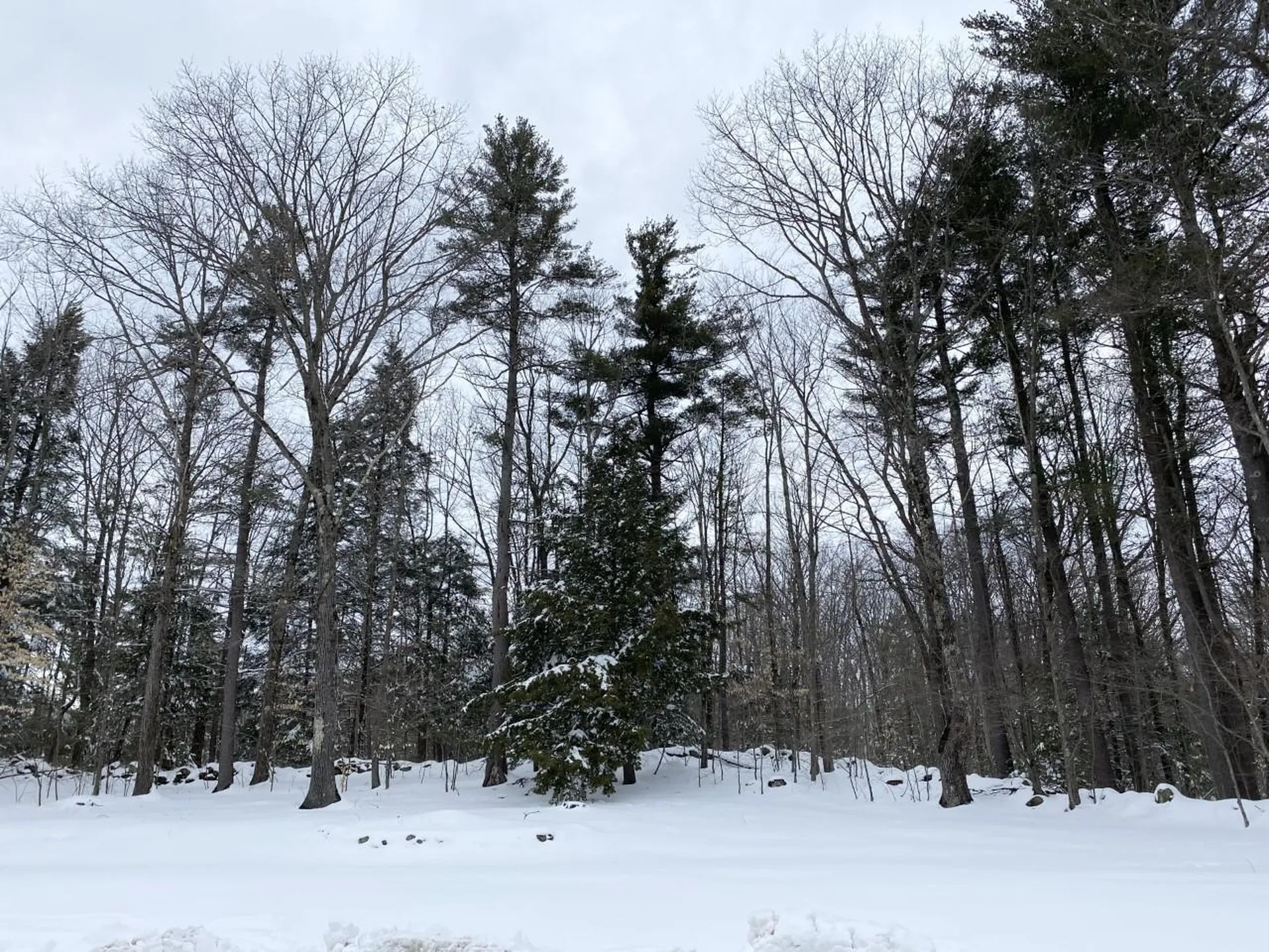 199 Richmond Road Troy NH 03465