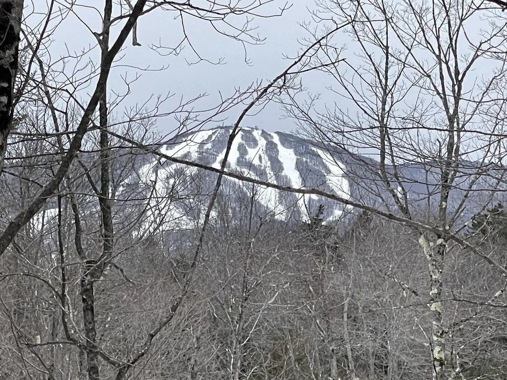 Lot 2 Twin Farm Road Winhall VT 05340