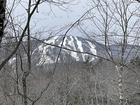 Lot 2 Twin Farm Road Winhall VT 05340