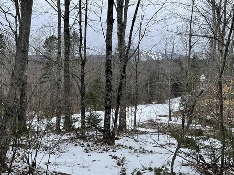 Lot 2 Twin Farm Road Winhall VT 05340