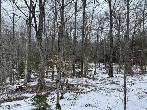 Lot 2 Twin Farm Road Winhall VT 05340