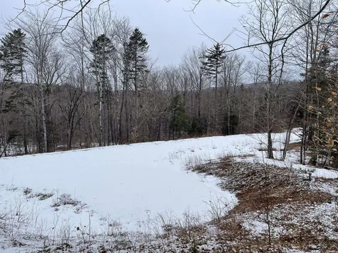 Lot 2 Twin Farm Road Winhall VT 05340