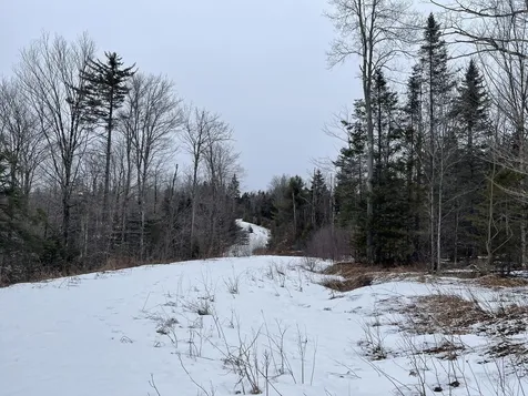 Lot 2 Twin Farm Road Winhall VT 05340