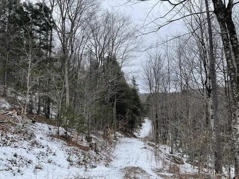 Lot 2 Twin Farm Road Winhall VT 05340