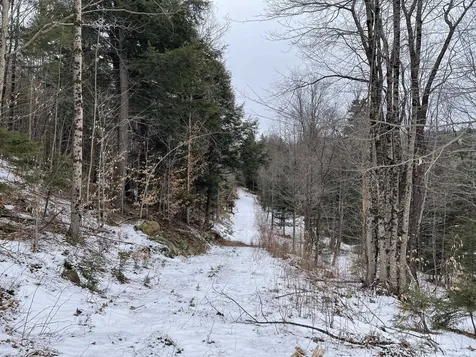 Lot 2 Twin Farm Road Winhall VT 05340