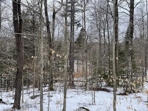 Lot 2 Twin Farm Road Winhall VT 05340