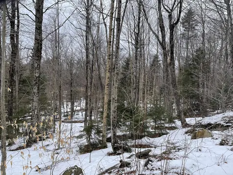 Lot 2 Twin Farm Road Winhall VT 05340