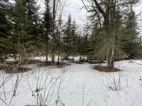 Lot 2 Twin Farm Road Winhall VT 05340