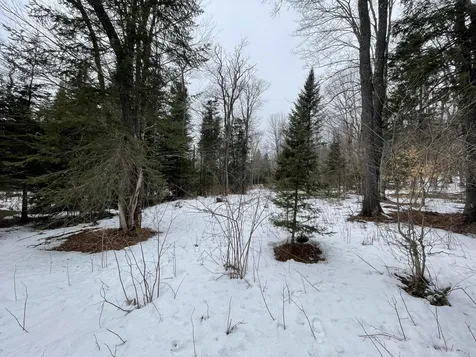 Lot 2 Twin Farm Road Winhall VT 05340