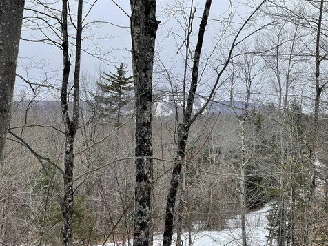Lot 2 Twin Farm Road Winhall VT 05340