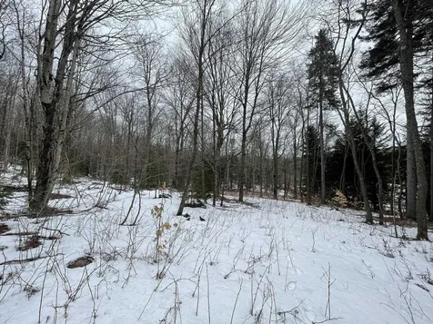Lot 2 Twin Farm Road Winhall VT 05340