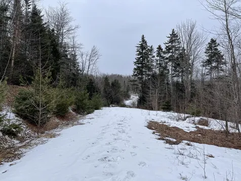 Lot 2 Twin Farm Road Winhall VT 05340