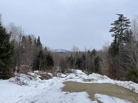 Lot 2 Twin Farm Road Winhall VT 05340