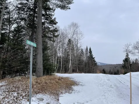 Lot 2 Twin Farm Road Winhall VT 05340