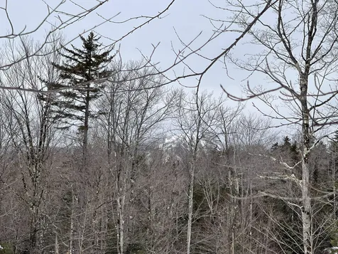 Lot 2 Twin Farm Road Winhall VT 05340