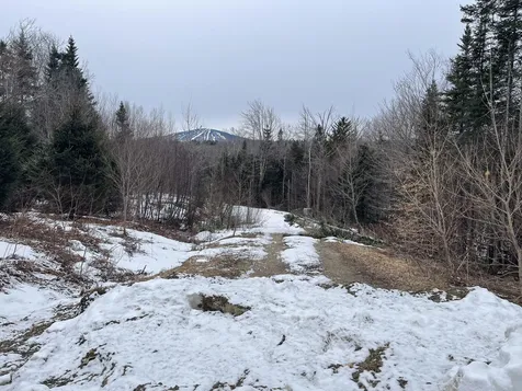Lot 2 Twin Farm Road Winhall VT 05340