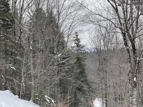 Lot 2 Twin Farm Road Winhall VT 05340