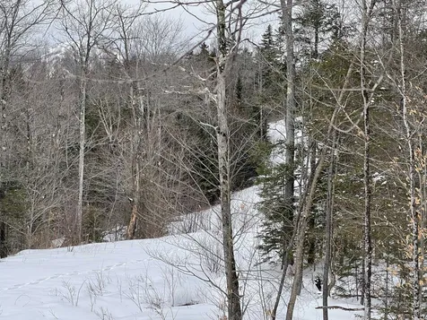 Lot 2 Twin Farm Road Winhall VT 05340