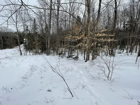 Lot 2 Twin Farm Road Winhall VT 05340