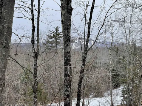 Lot 2 Twin Farm Road Winhall VT 05340