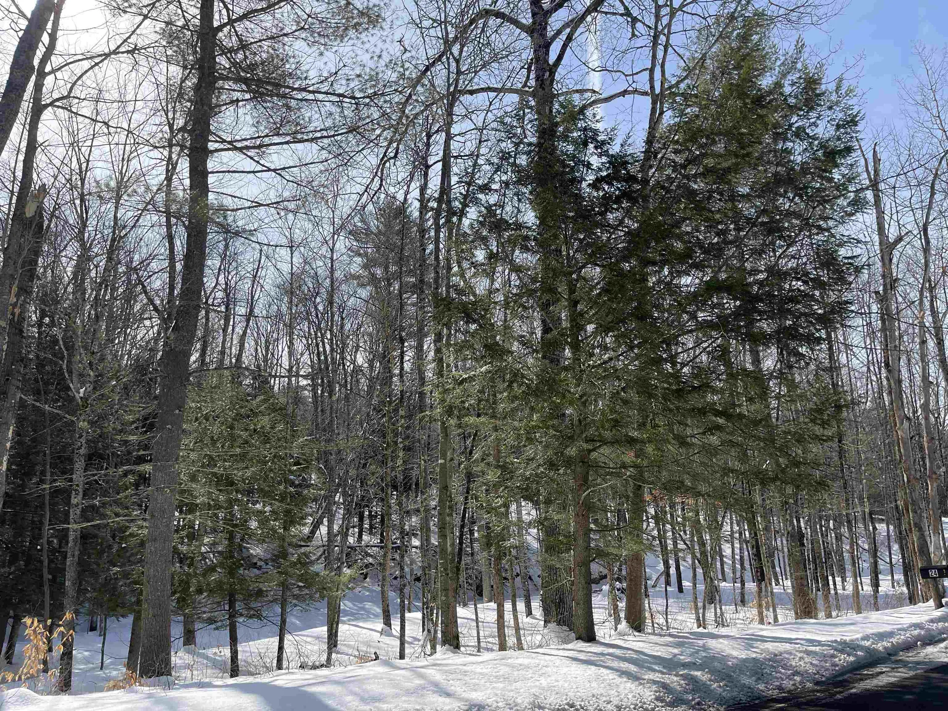 2 Morgan Road Hanover NH 03755