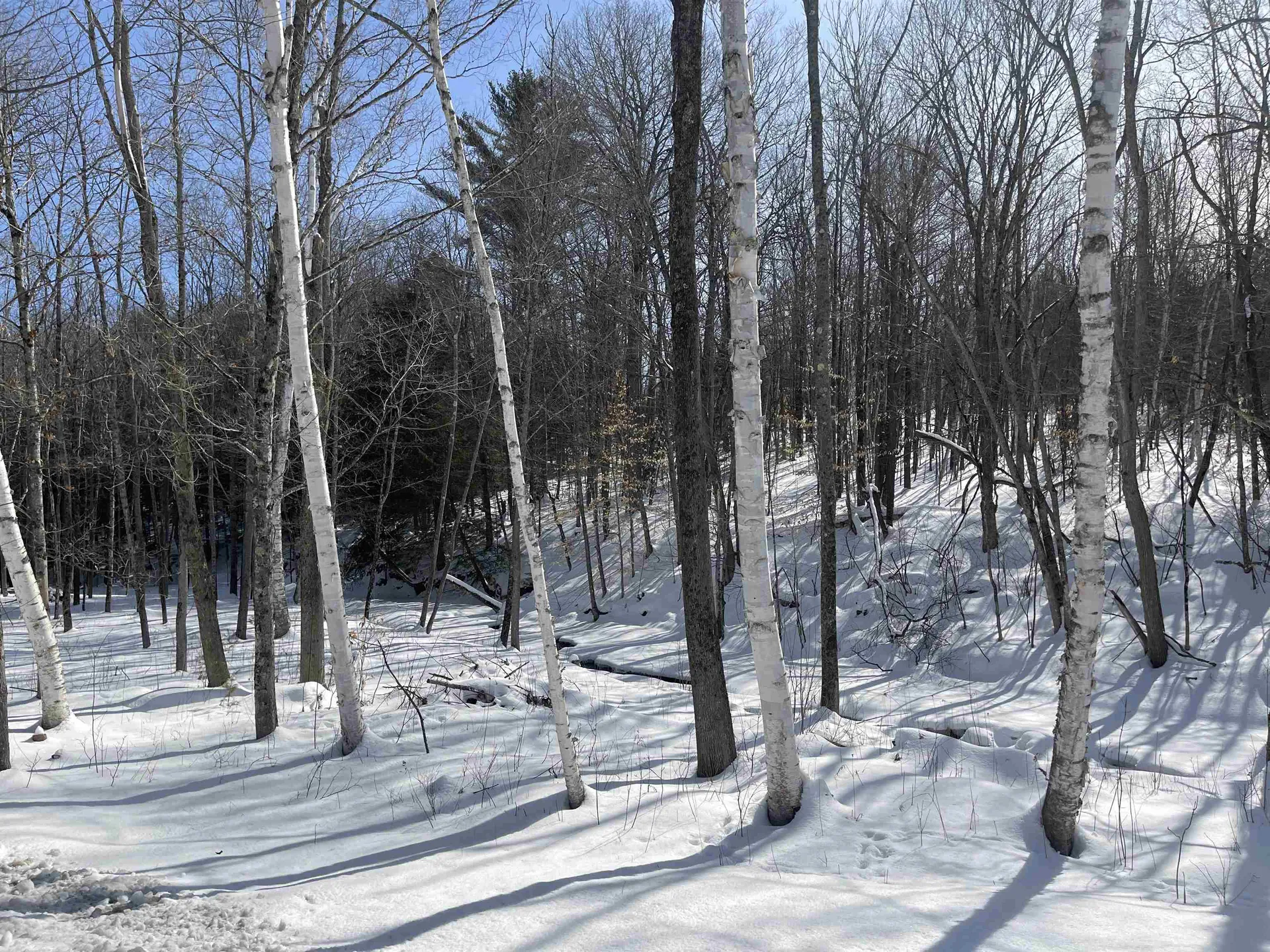 2 Morgan Road Hanover NH 03755