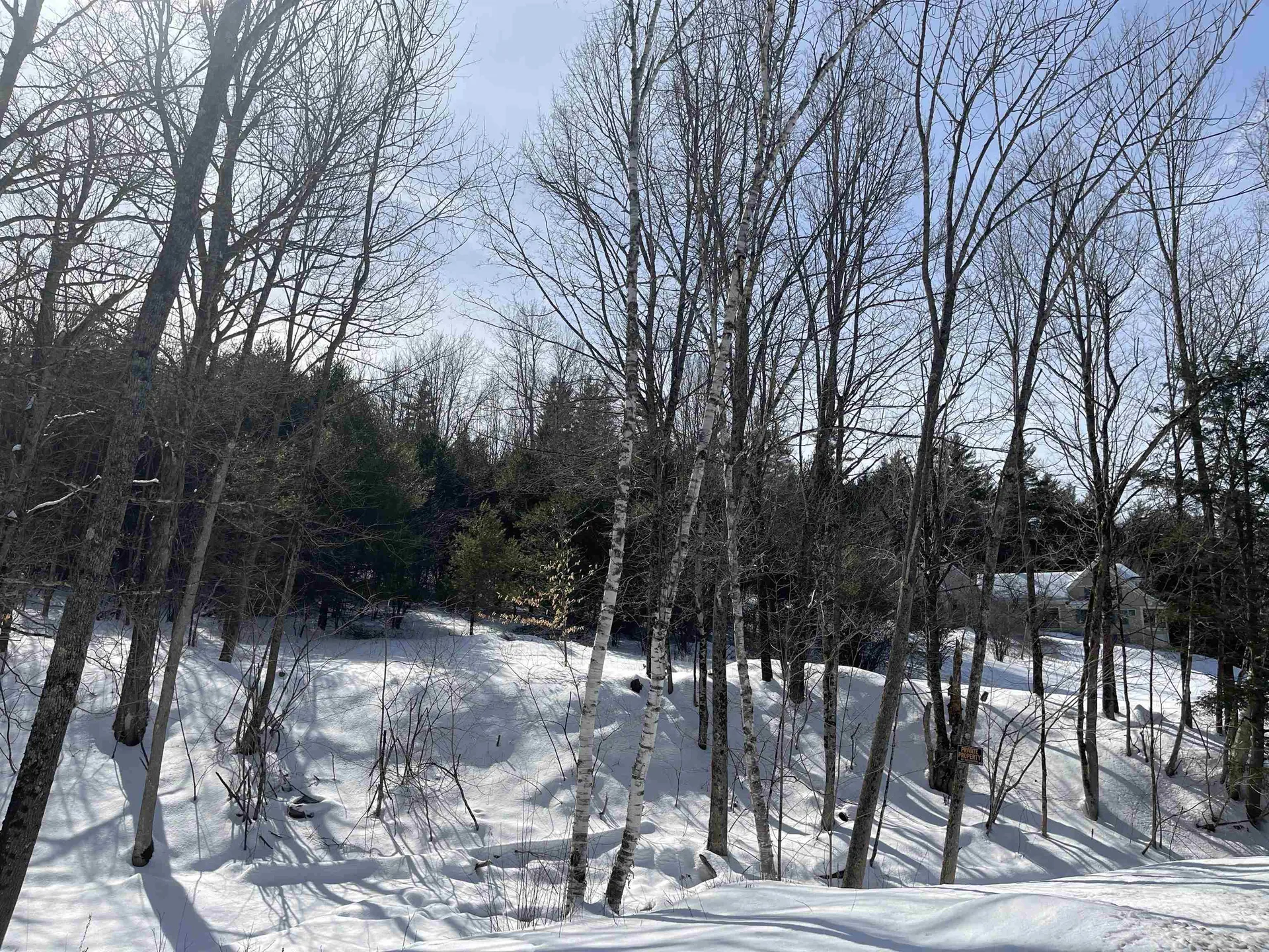 2 Morgan Road Hanover NH 03755