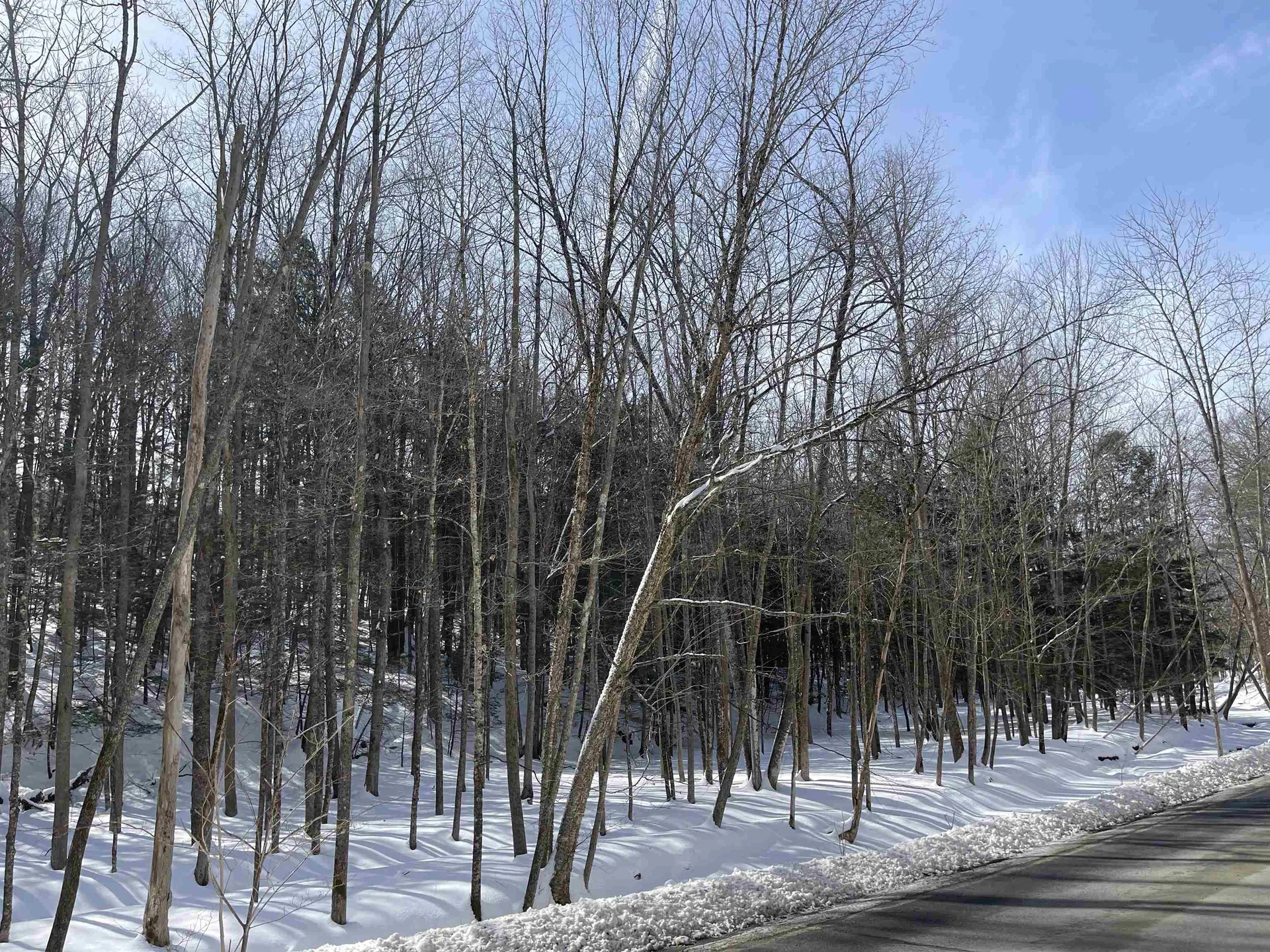2 Morgan Road Hanover NH 03755