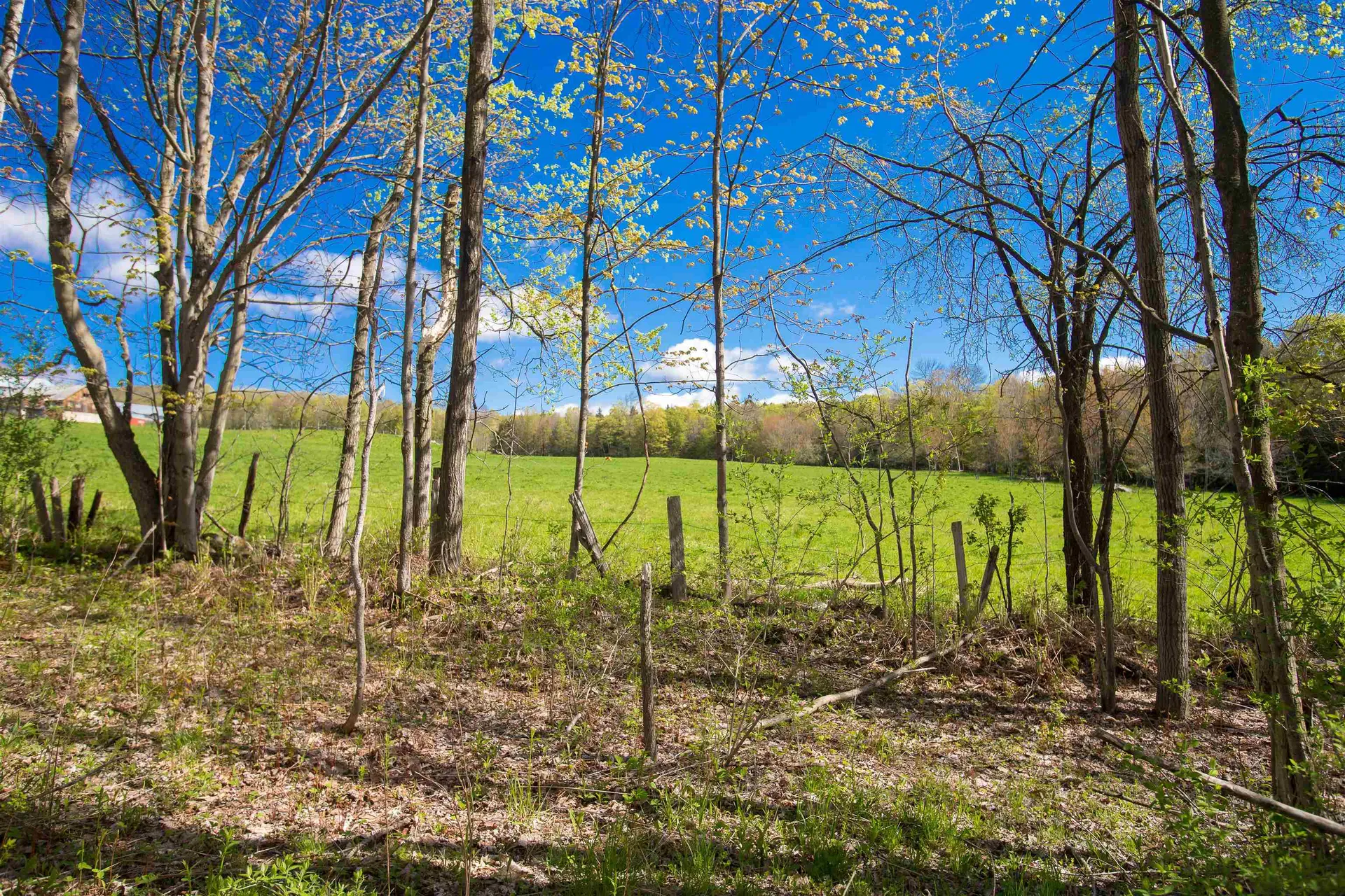1162 Weeks Hill Road Stowe VT 05672