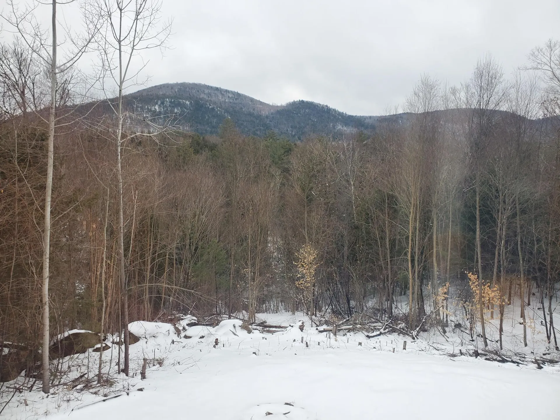 55 Verry Brook Road Winchester NH 03470