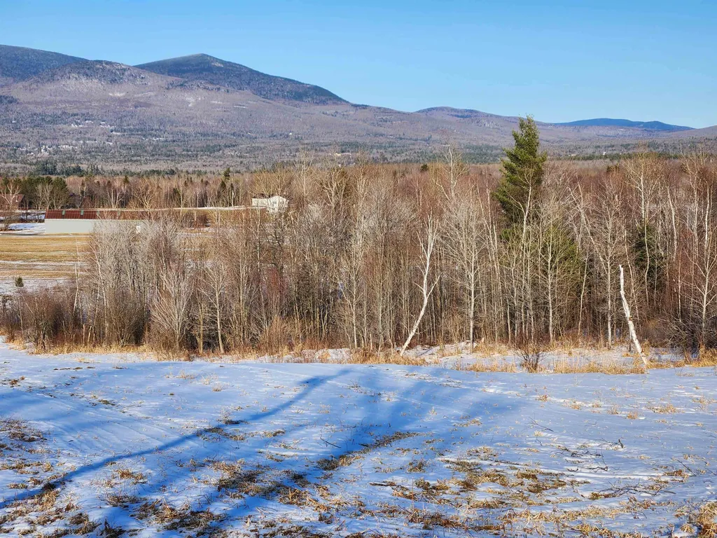 37 John Walker Road Jefferson NH 03583