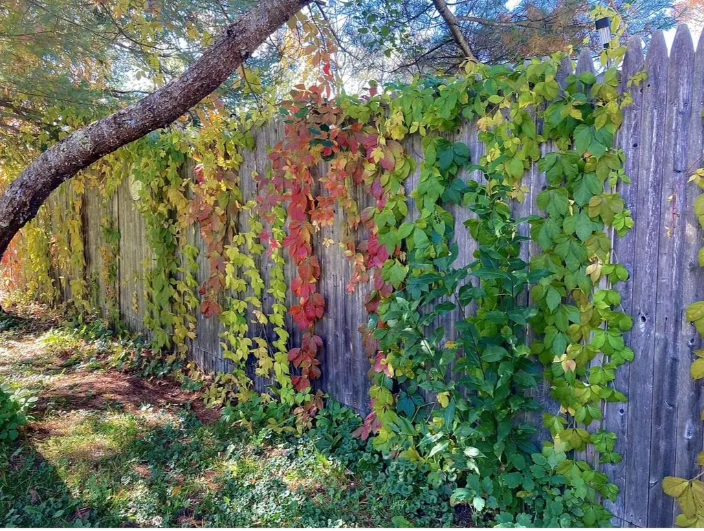 113 River Road Canaan NH 03741