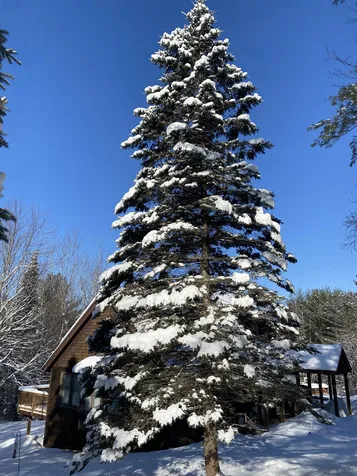 111 Spring Hill Road Morristown VT 05661