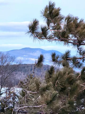 59 Treetop Circle Laconia NH 03246