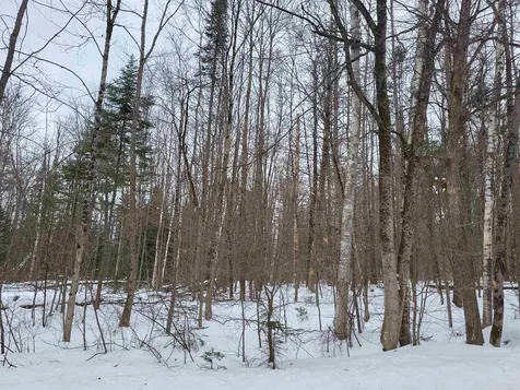 0 Parker Road Bethlehem NH 03574