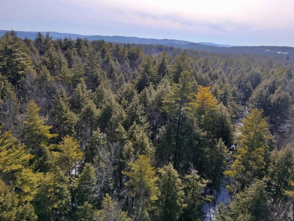 0 Old Ledge Road Westminster VT 05159