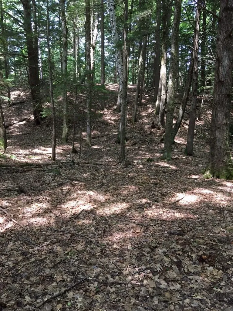 0 Old Ledge Road Westminster VT 05159