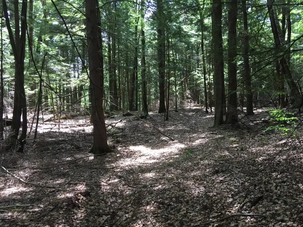 0 Old Ledge Road Westminster VT 05159