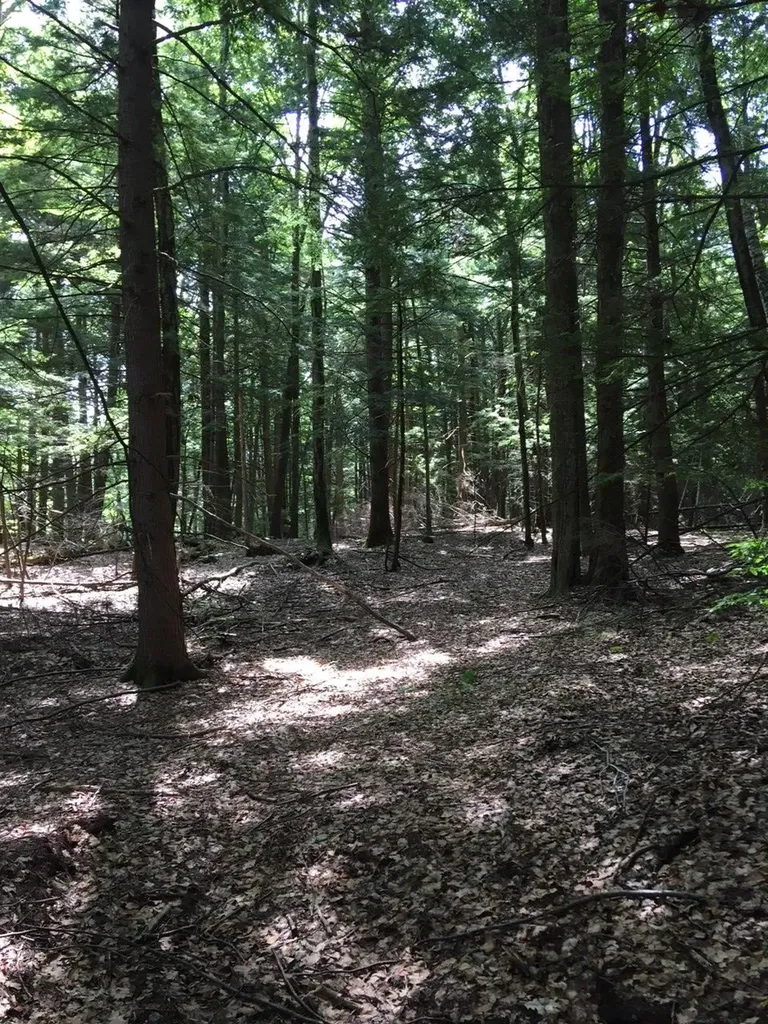 0 Old Ledge Road Westminster VT 05159