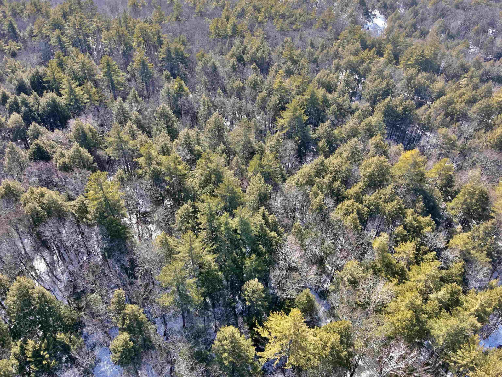 0 Old Ledge Road Westminster VT 05159